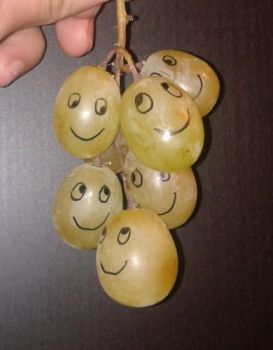 Gli acini d�uva