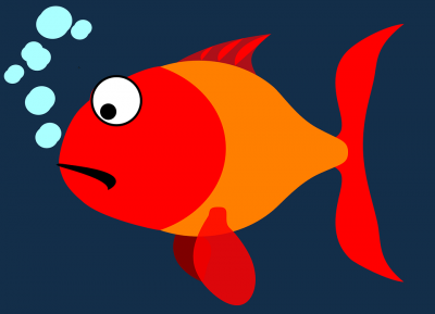 E' arrivato il pesce rosso!