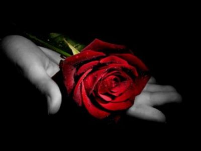 Rosa