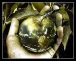 Il Mondo che (non) vorrei