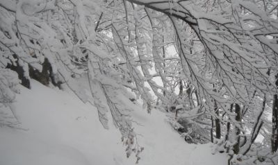 Cantilena d'inverno