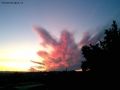 L'alba del cuore