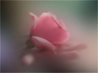 Nello scrigno un amore  