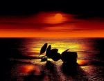 Error di giovent�