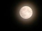 Luna perch� piangi?
