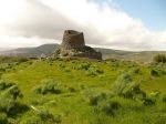 Afonia di Sardegna
