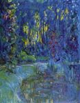 Acqua