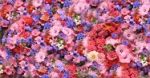 � la stagion dei fiori