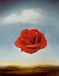 La rosa