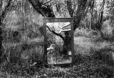 Morte dell'Anima