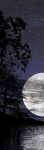 Figli della luna