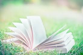 Vita... pagine