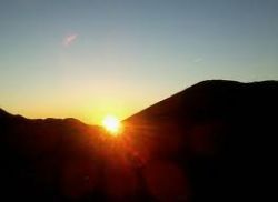 Sole