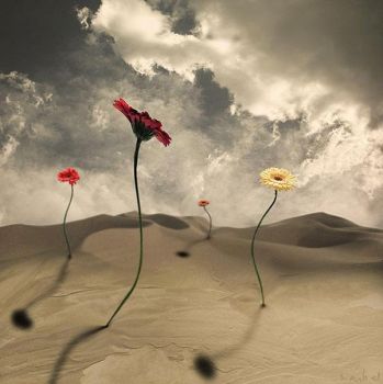 L'amore risorge