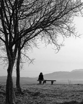 E ti verr� a cercare