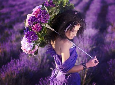 Visioni di lavanda