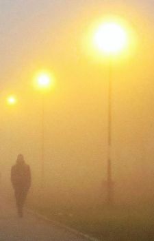 Una domanda alla nebbia