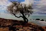 Niente � pi� uguale