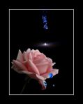 L�assenza