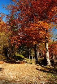 Autunno