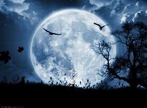 Malanotte