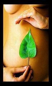 Come un fiore