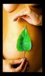 Come un fiore