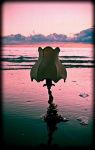 L�ultima luce