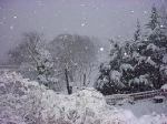 Mattina d'inverno