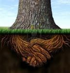 Ci� che resta