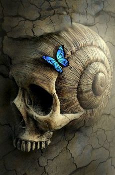 Ombre nell�anima