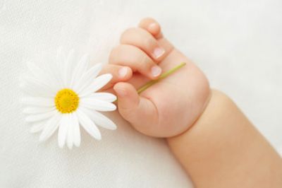 La forza della vita