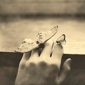 Gemmazione