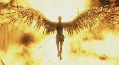 Brucer� volando