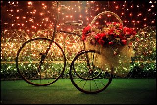 Natale