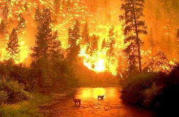 L'incendio
