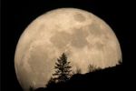 Notti Lunari