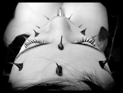 Spine