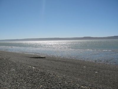 Estuario