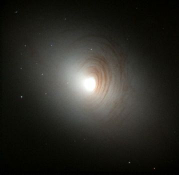 Spirale di falena