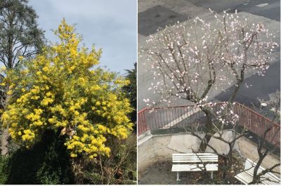 Aria di Primavera