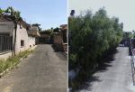 Dal torpor nulla ci desta!
