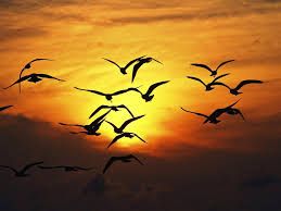 Andare via