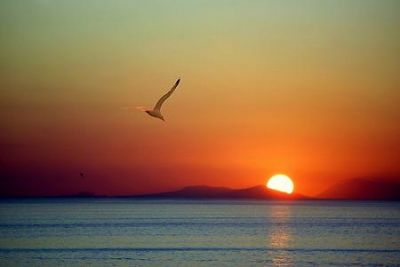 Alba