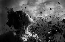 Un�inquietudine