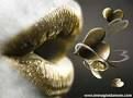 Un soffio d�amore
