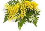 Mimose e pizza!