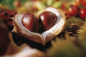 Amo l�autunno