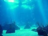 In fondo all�oceano