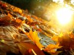 Il sole � morto